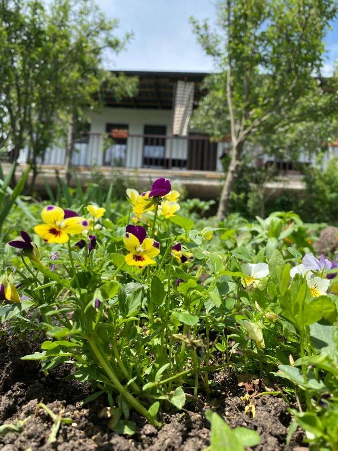 Green Agarak Guest House Near Dendropark, Stepanavan Gyulagarak Zewnętrze zdjęcie