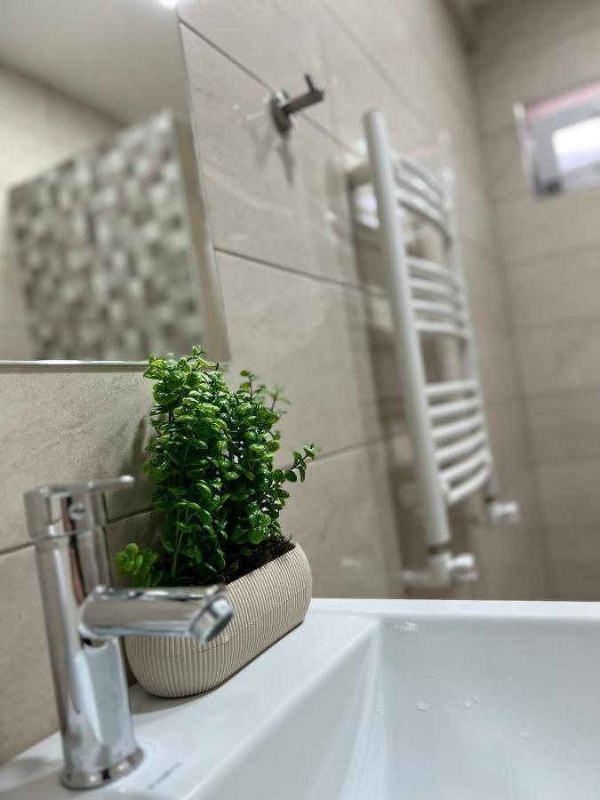 Green Agarak Guest House Near Dendropark, Stepanavan Gyulagarak Zewnętrze zdjęcie