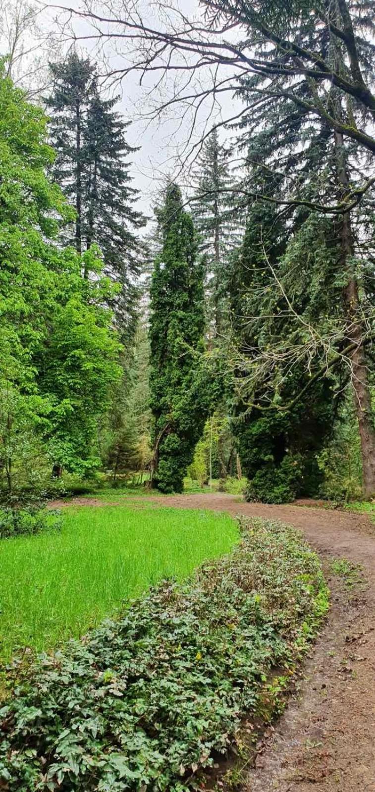 Green Agarak Guest House Near Dendropark, Stepanavan Gyulagarak Zewnętrze zdjęcie
