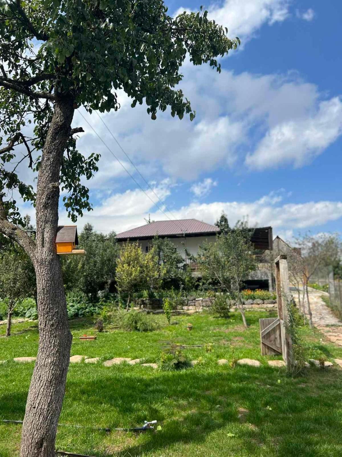 Green Agarak Guest House Near Dendropark, Stepanavan Gyulagarak Zewnętrze zdjęcie